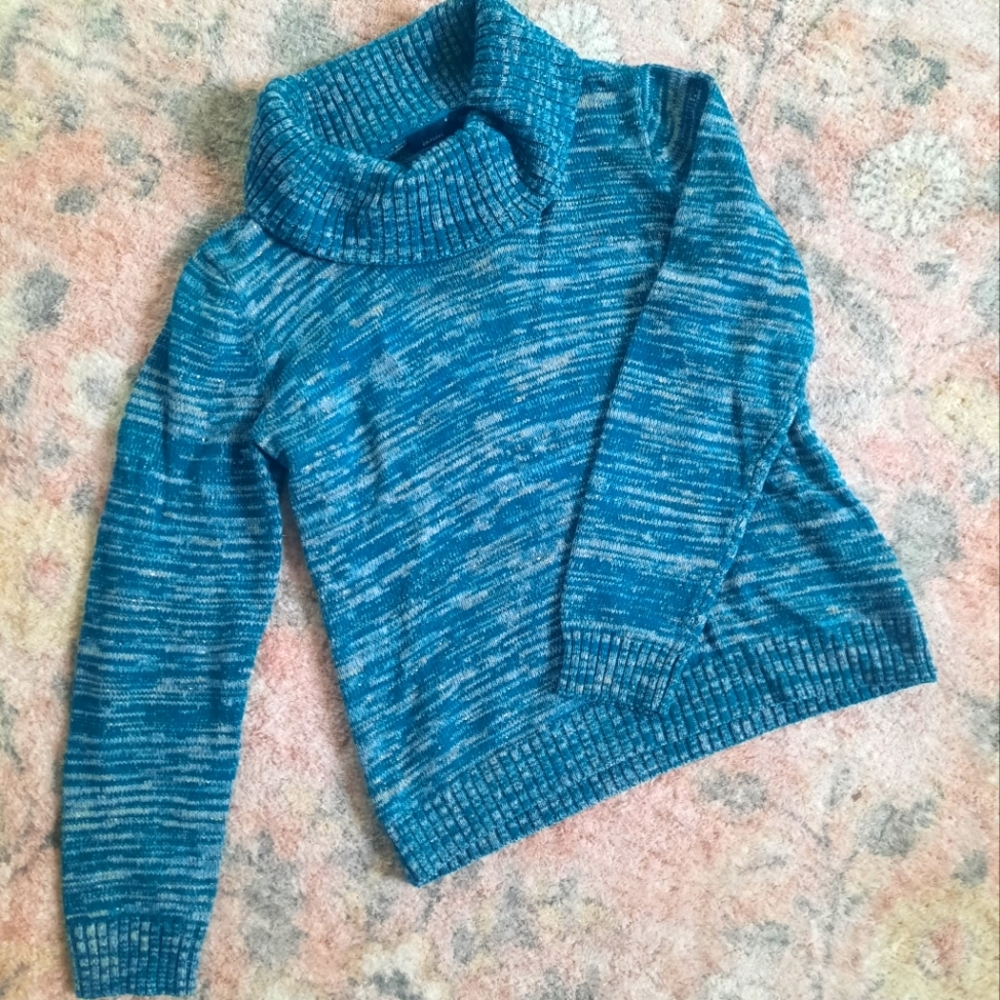 Teal and tan turtleneck sweater